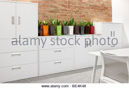 Office White Metal Filing Cabinets Cactus Stock Photo Alamy