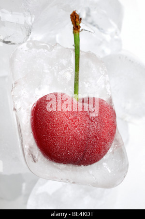 Cherry frozen in ice cube Stock Photo