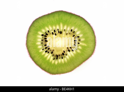 Slice of the kiwi fruit Stock Photo