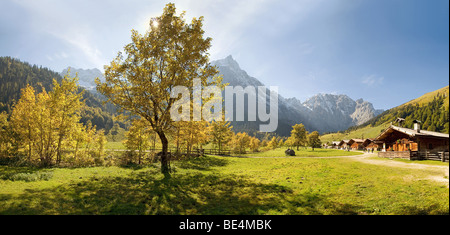 Glowing autumnal maple tree, mountain cabin, snow-covered mountains, Grosser Ahornboden, Karwendel, Austria, Europe Stock Photo