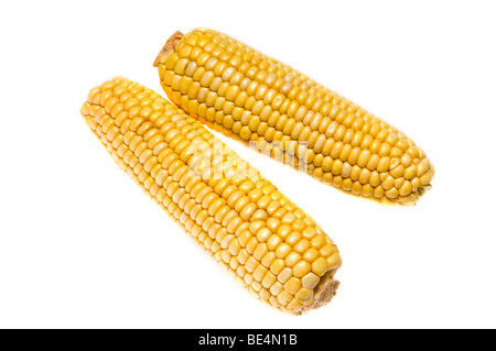 Corn cobs isolated over white Stock Photo