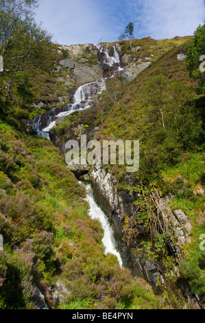 The Allt Bhuidhe waterfall, Glen Muick. In the foreground is flowering Heather, Calluna vulgaris. Stock Photo