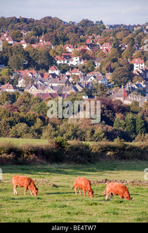 Fulwood in Sheffield, 'South Yorkshire',England,'Great Britain','United Kingdom',UK,GB,EU Stock Photo