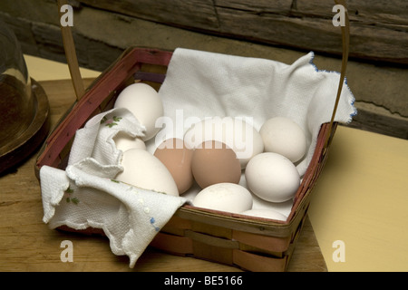 Eggs in a basket Stock Photo