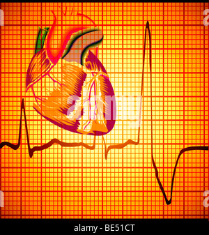 vector illustration of human heart composited on EKG printout Stock Photo