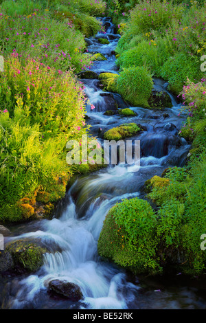 North Clear Creek flowing in Florence Canyon, Cloud Peak Wilderness ...