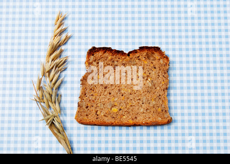 Single slice of bread, wholemeal bread with pumpkin and sunflower seeds on blue and white tablecloth, with oats Stock Photo