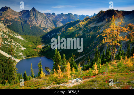 Mountain Larches at Lake Ann along the Maple Pass loop trial in the North Cascades National Park, Washington Stock Photo