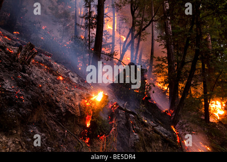 California Lockheed wildfire in Santa Cruz Mountains. CALFIRE/CDF - California Department of Forestry and Fire Protection Stock Photo