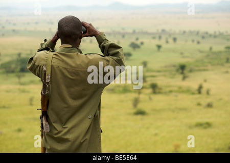 An armed, Uganda Wildlife Authority game ranger looking through binoculars in Kidepo Valley National Park in northern Uganda. Stock Photo