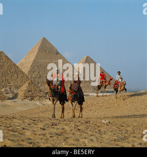 Camel riders in front of the Pyramids, Giza, Cairo, Egypt, North Africa Stock Photo