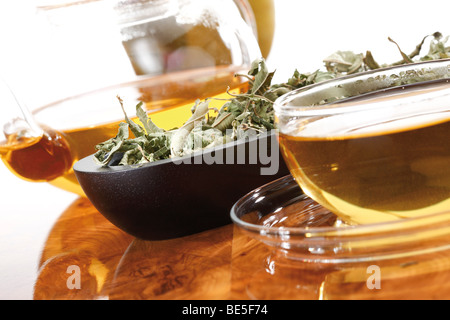 Herbal tea from Common Vervain in glass teacup Stock Photo