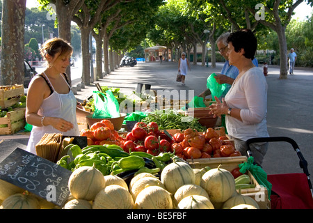 French people shopping at an outdoor produce market in Sanary sur Mer, Southern France. Stock Photo