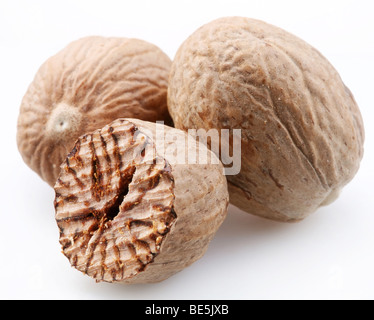 Nutmeg on a white background Stock Photo