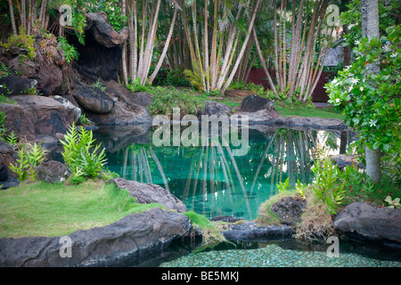 Pond and garden at Na Aina Kai Botanical Gardens. Kauai, Hawaii Stock Photo