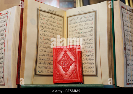 Little red book, pressed, in front of opened Koran, Arabic writing, book bazaar, Beyazit, Istanbul, Turkey