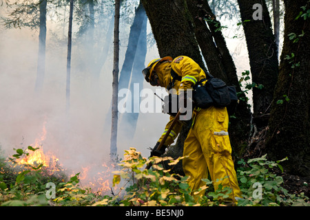 Wildland firefighters at California Lockheed wildfire in Santa Cruz Mountains. CALFIRE/CDF Stock Photo