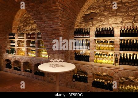 Vinotheque wine cellar in the Schloss Mailberg castle, Weinviertel region, Lower Austria, Austria, Europe Stock Photo