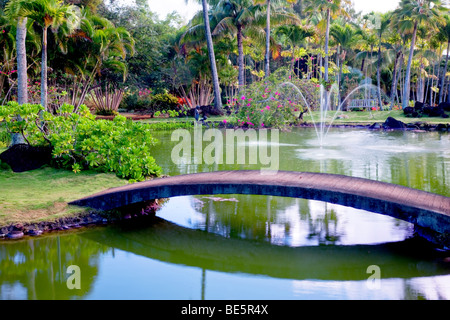 Bridge and pond and garden at Na Aina Kai Botanical Gardens. Kauai, Hawaii Stock Photo