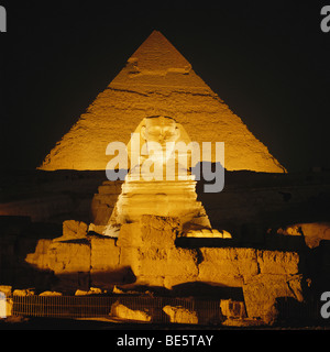 The Sphinx and Pyramid floodlit at night Giza Cairo Egypt Stock Photo ...