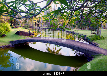 Bridge and pond and garden at Na Aina Kai Botanical Gardens. Kauai, Hawaii Stock Photo