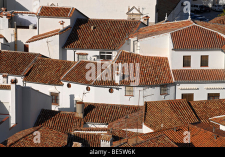 Roofs of the village of Grazalema, a Pueblo Blanco, white village, in the Sierra de Grazalema, Andalusia, Spain, Europe Stock Photo