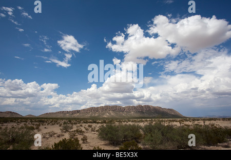 Desert landscape, Coahuila, northern Mexico Stock Photo