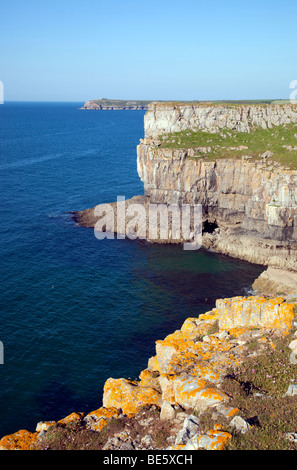 view from stackpole head; pembroke Stock Photo