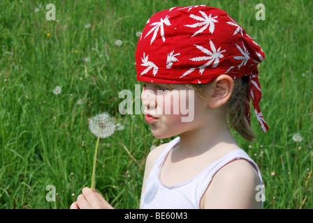Girls, 5 years old, wearing a pirate bandana, holding a blowball, Dandelion (Taraxacum officinale), blowing Stock Photo
