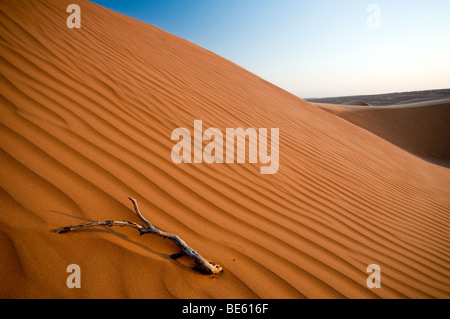 Wahiba Sands, Oman Stock Photo
