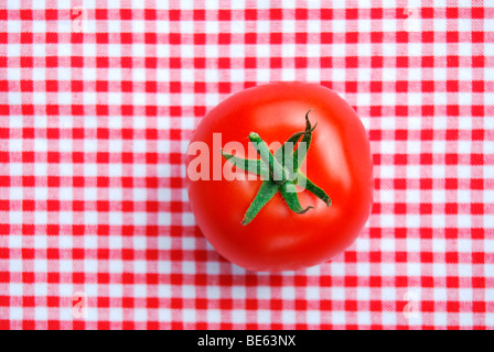 Single vine tomato on red and white checked tablecloth Stock Photo