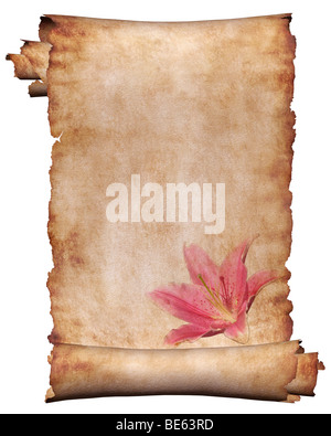 Manuscript, roll of parchment with flower background frame Stock Photo