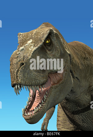 tyrannosaurus Rex close up, digital photorealistic rendering, T-Rex Stock Photo