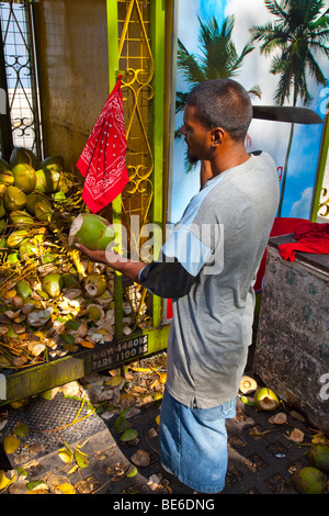 Coconut Water vendor at Queens Savannah Park in Port of Spain Trinidad Stock Photo