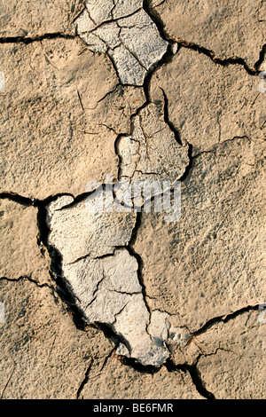 A dry river floor Stock Photo