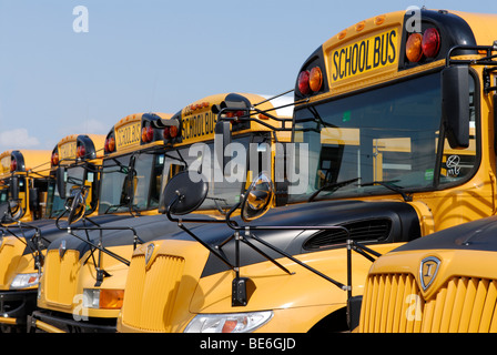 School buses parked Stock Photo