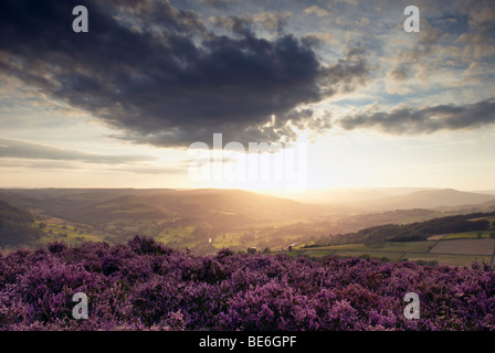 Flowering heather moorland and sunset over the Hope Valley in the 'Peak District' of Derbyshire,England Stock Photo