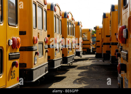 School buses parked in a depot Stock Photo