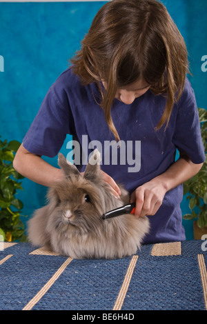 Girl, 12 years old, combing the fur of an Angora rabbit Stock Photo