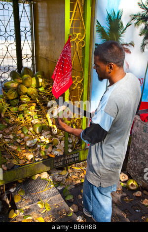 Coconut Water vendor at Queens Savannah Park in Port of Spain Trinidad Stock Photo