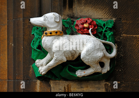 Dog relief on a passage in Christ's College, St. Andrews Street, Cambridge, Cambridgeshire, England, United Kingdom, Europe Stock Photo