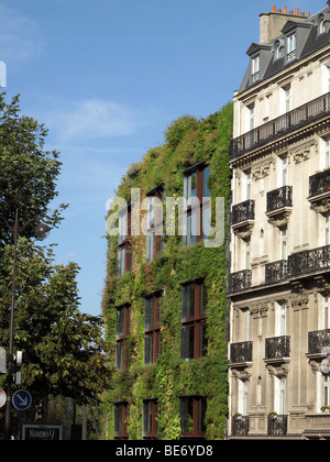 Vertical garden by Patrick Blanc,Musee du quai Branly, Paris, France Stock Photo