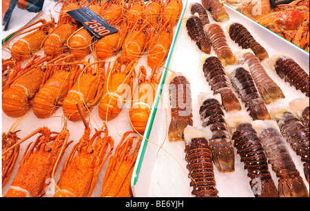 Australian cooked and fresh Lobster, Sydney Fish Market, Sydney, New South Wales, Australia Stock Photo