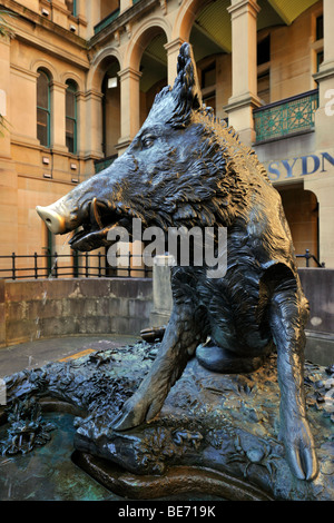 Il Porcellino, a bronze boar used as a lucky charm, Sydney Hospital, Sydney, New South Wales, Australia Stock Photo