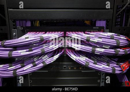 computer communications room purple cable bundles ethernet hub switch server Stock Photo