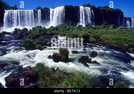 Iguazu falls , Brazil. South America Stock Photo