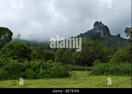 Gujurare mountain, Harenna forest, Bale Mountains National Park, Ethiopia Stock Photo