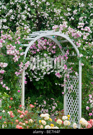 Arch with climbing roses. Heirloom Gardens. St. Paul, Oregon Stock Photo