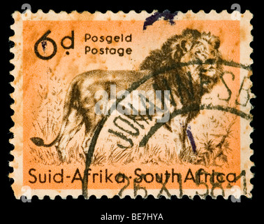 Vintage canceled postage stamp with lion illustration. South Africa, Johannesburg, 1958. Stock Photo