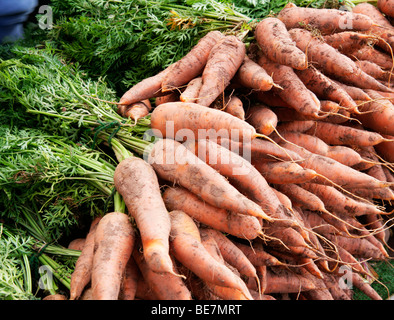 A Large Pile of Organic Carrots on Market Stall Stock Photo